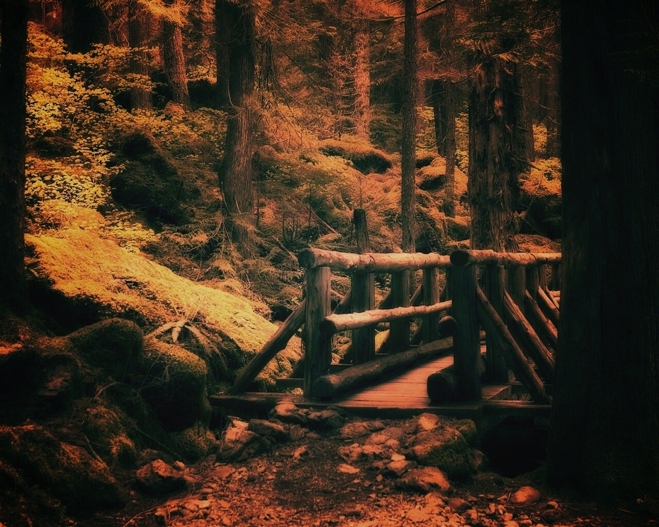 Бревенчатый мост в лесу обои