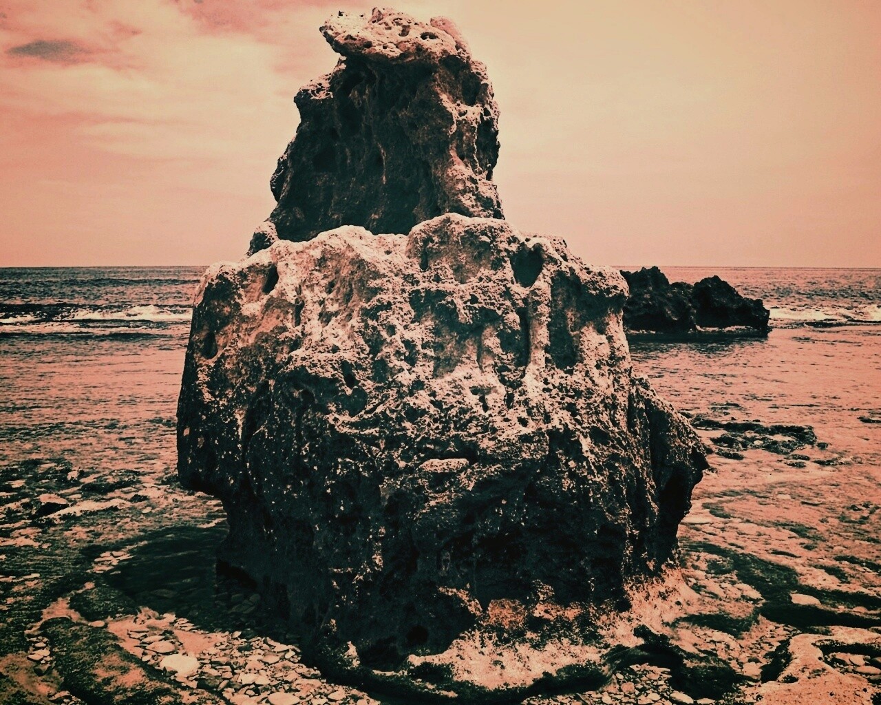 Коралловый риф обои