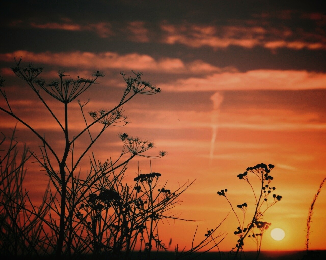 Степной закат обои