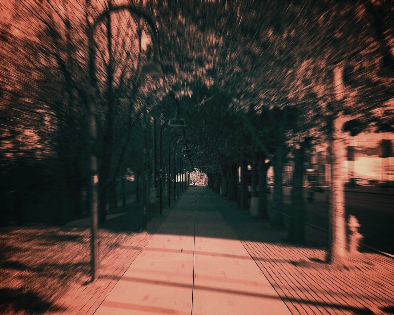 В парке обои