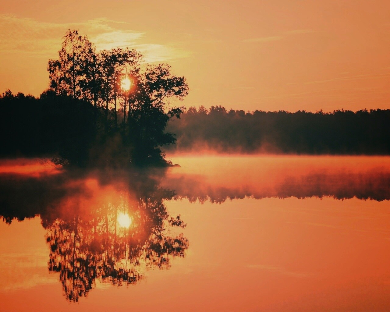 Туманное утро обои