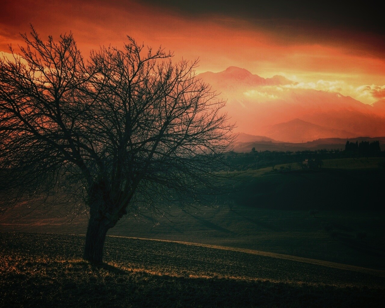 Дерево и горы обои