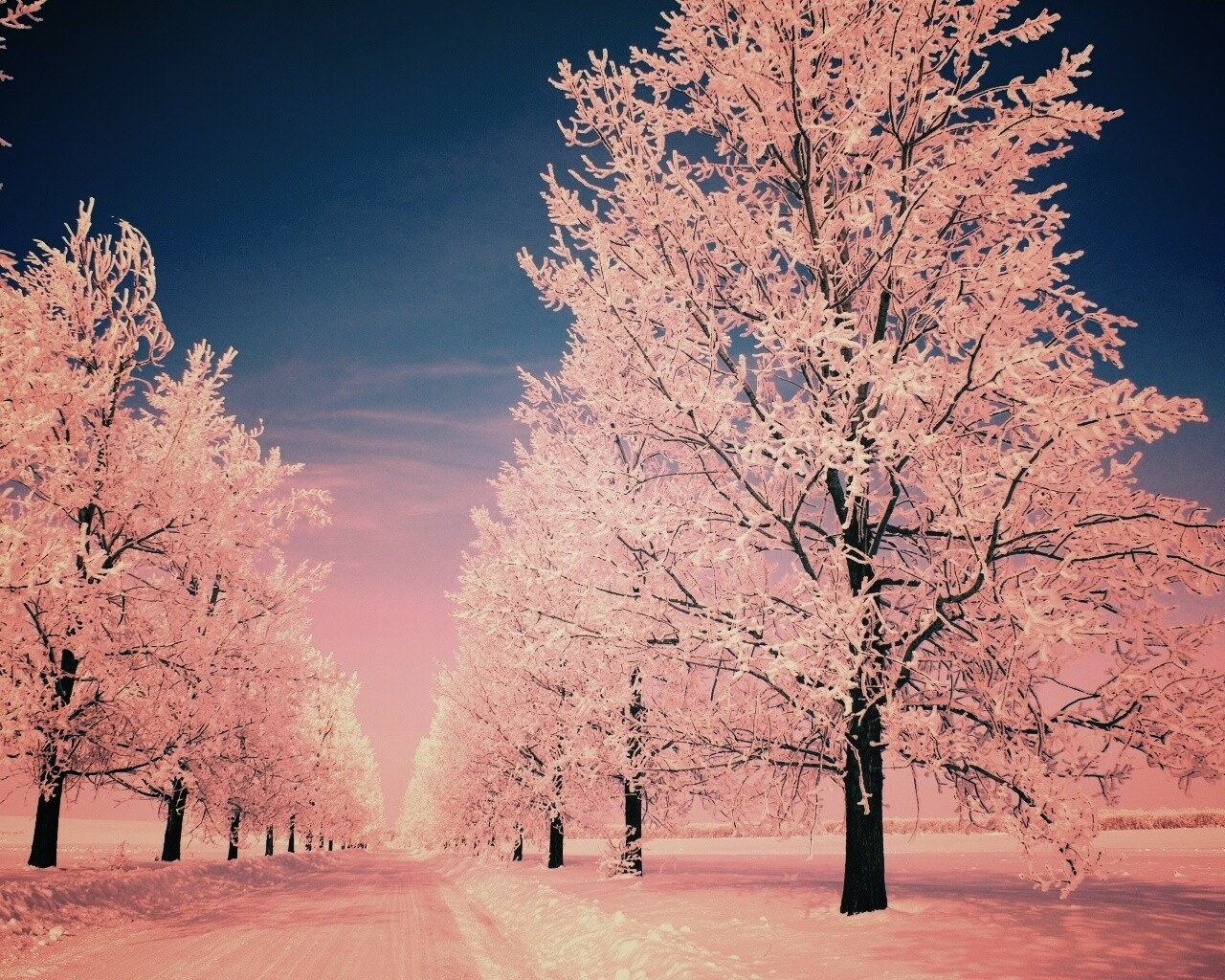 Снежная долина обои