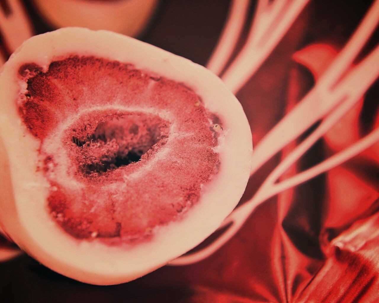 Клубника в белом шоколаде обои