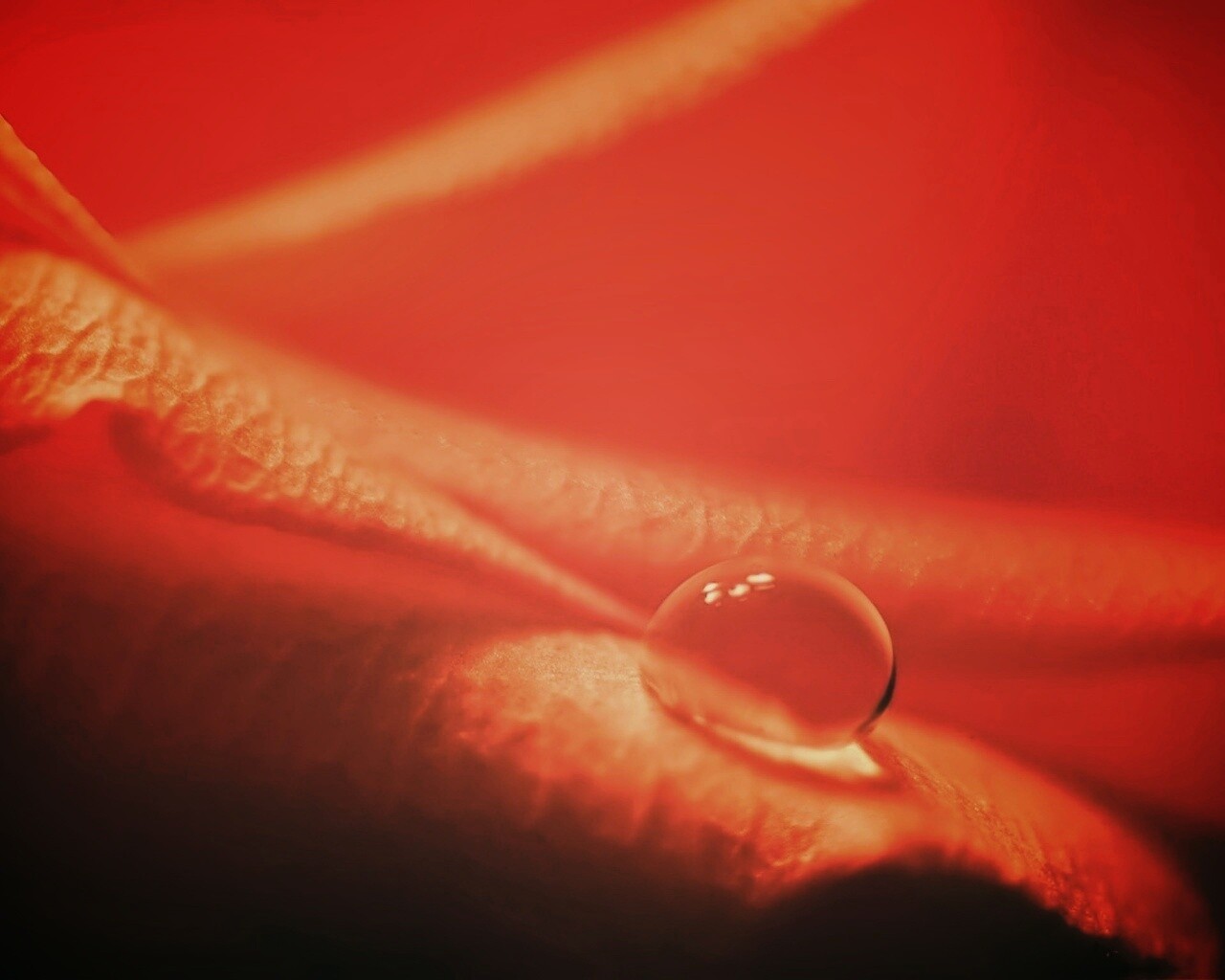 Капелька обои