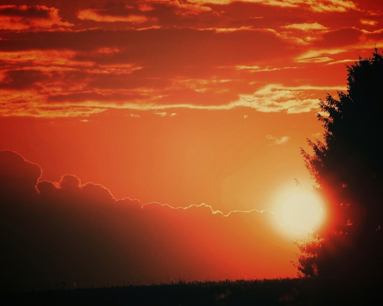 Теплый закат над полем обои