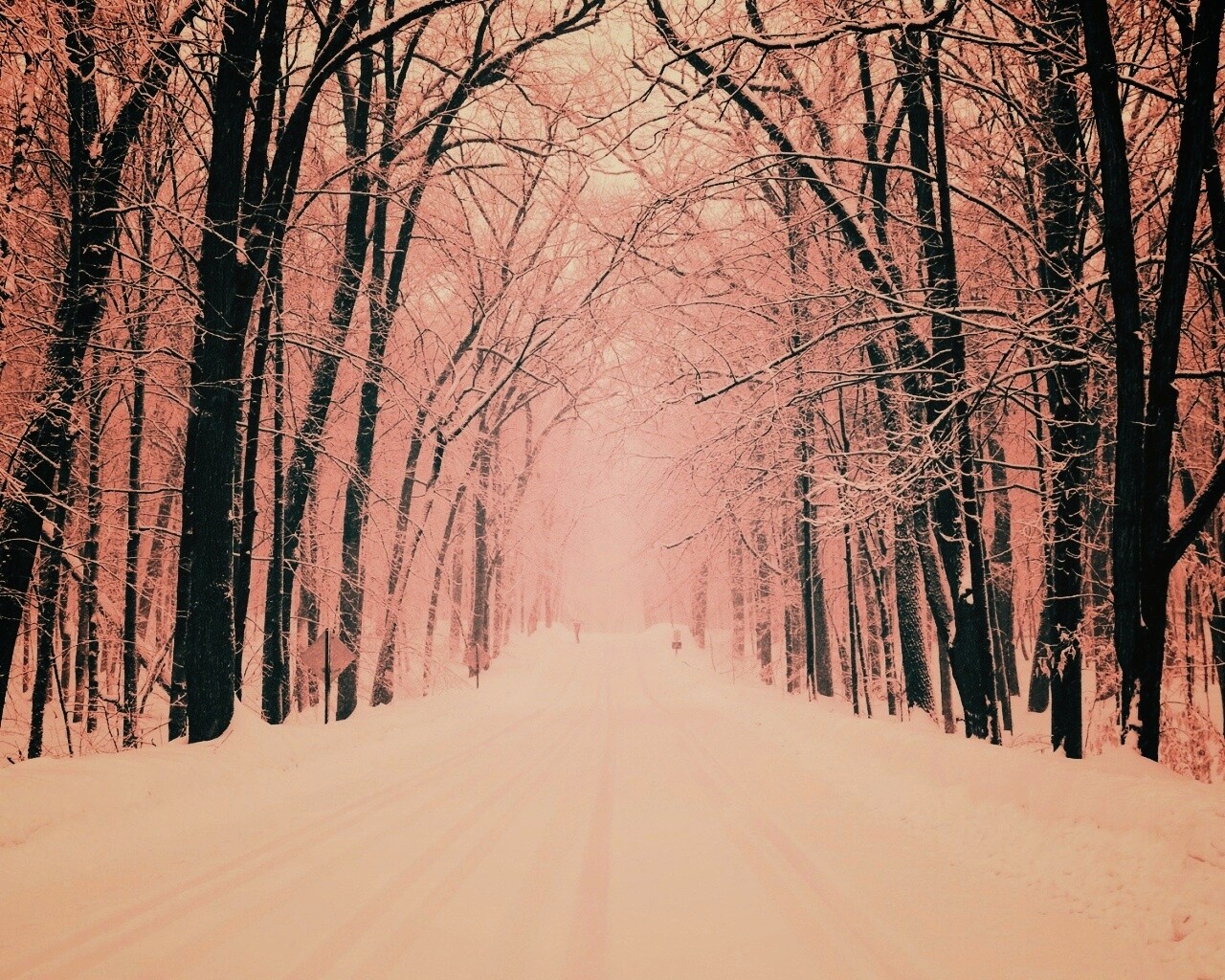 Дорога зимой в парке обои