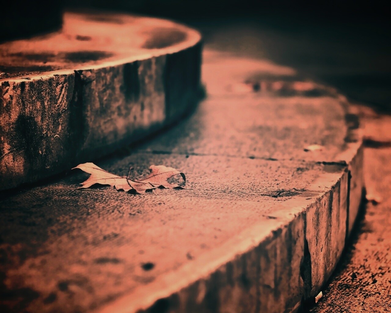 Лист на ступеньках обои