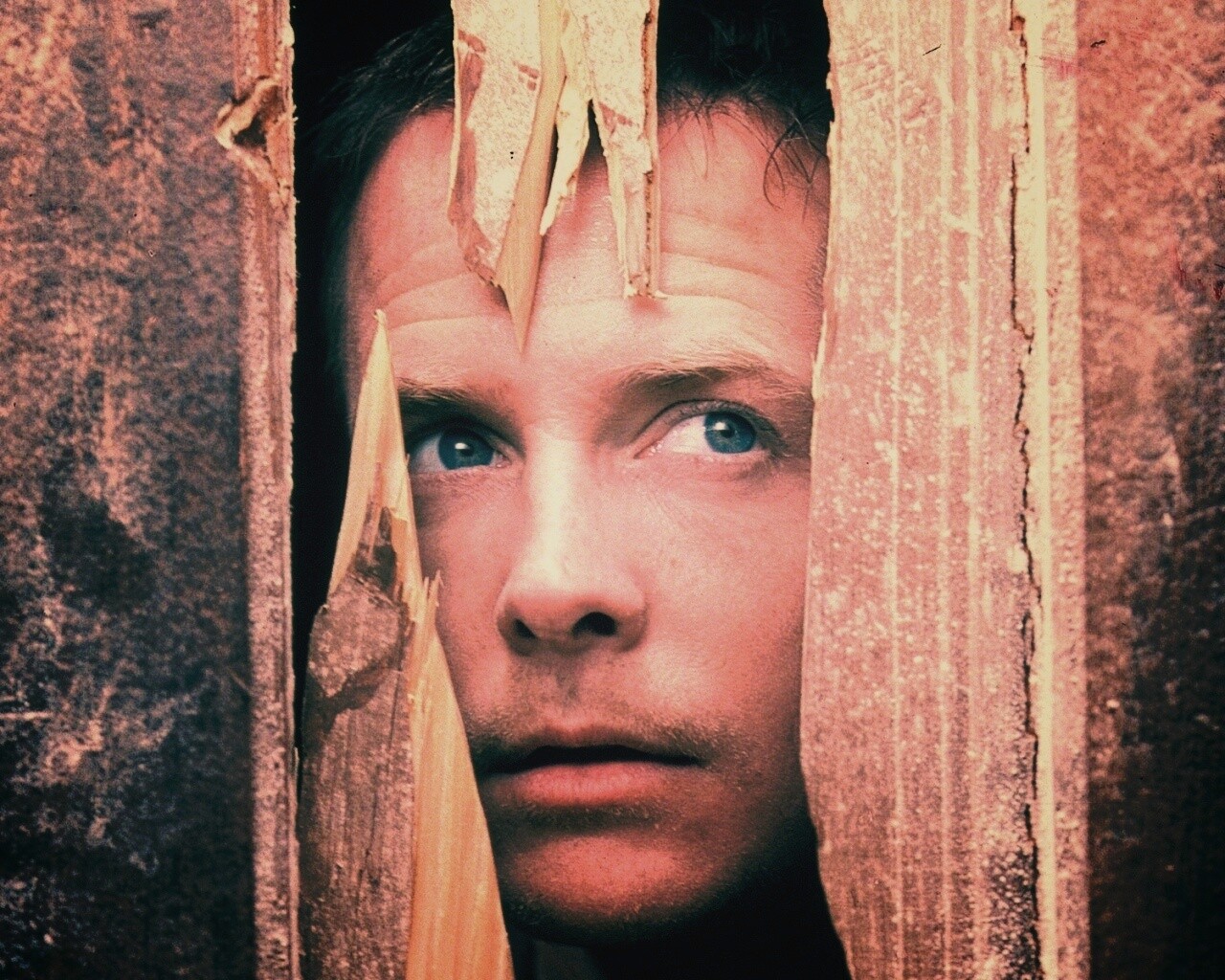 Страшилы обои