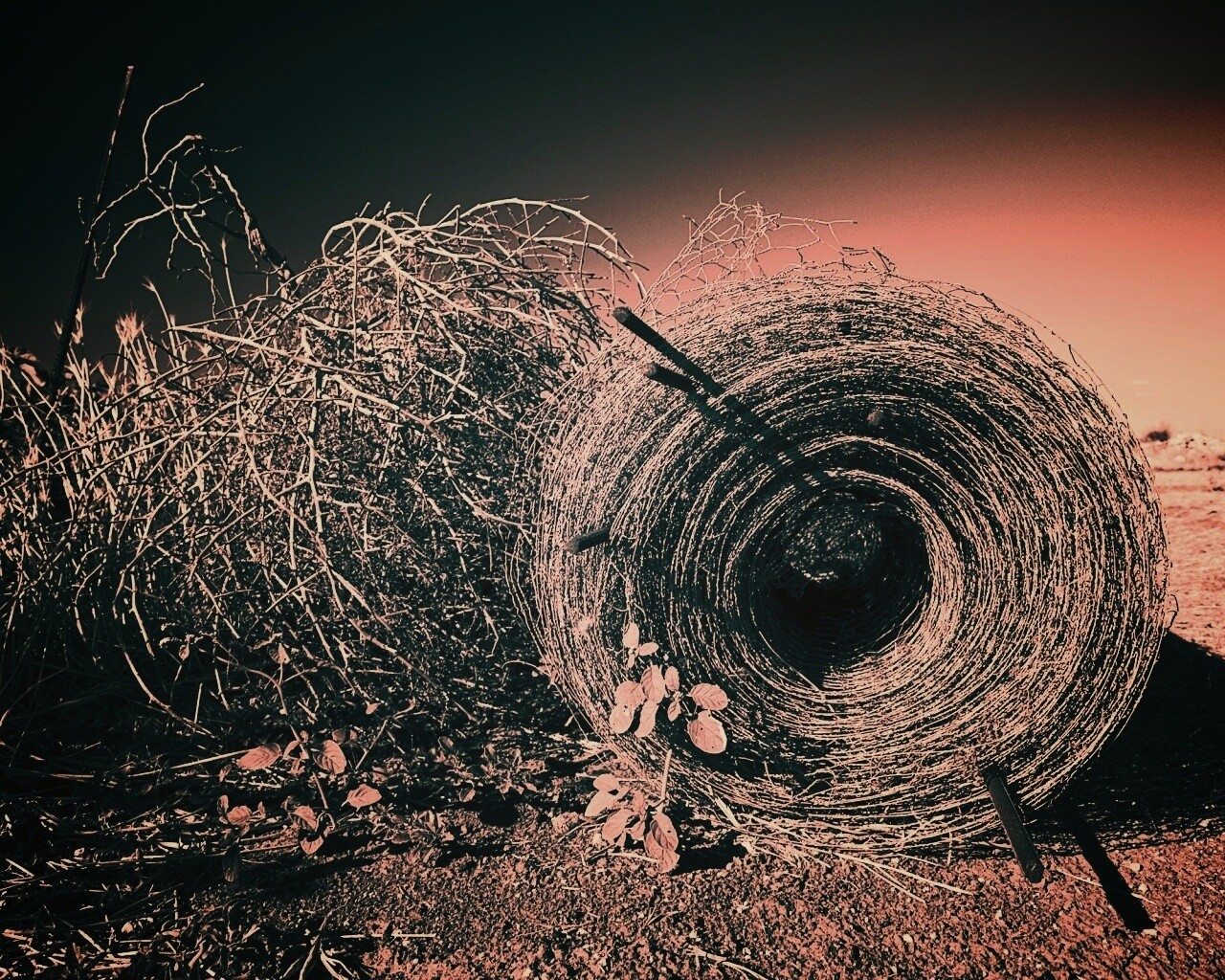 Клубок сена обои