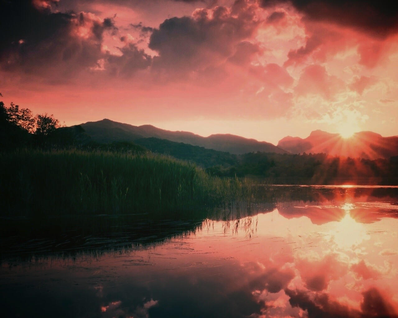 Закат за лесом обои