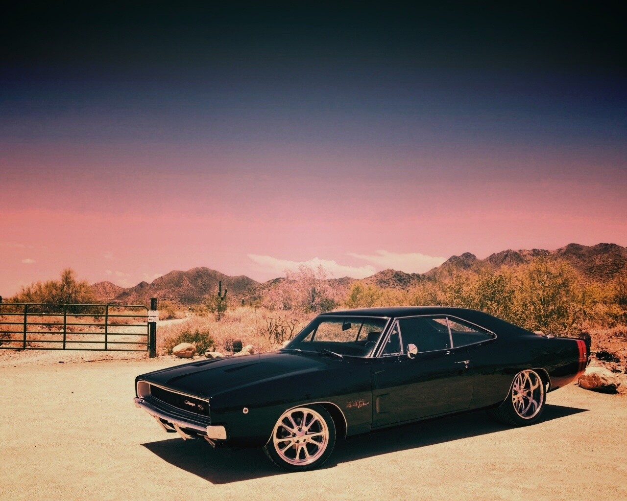 Мускулкар под палящим солнцем обои