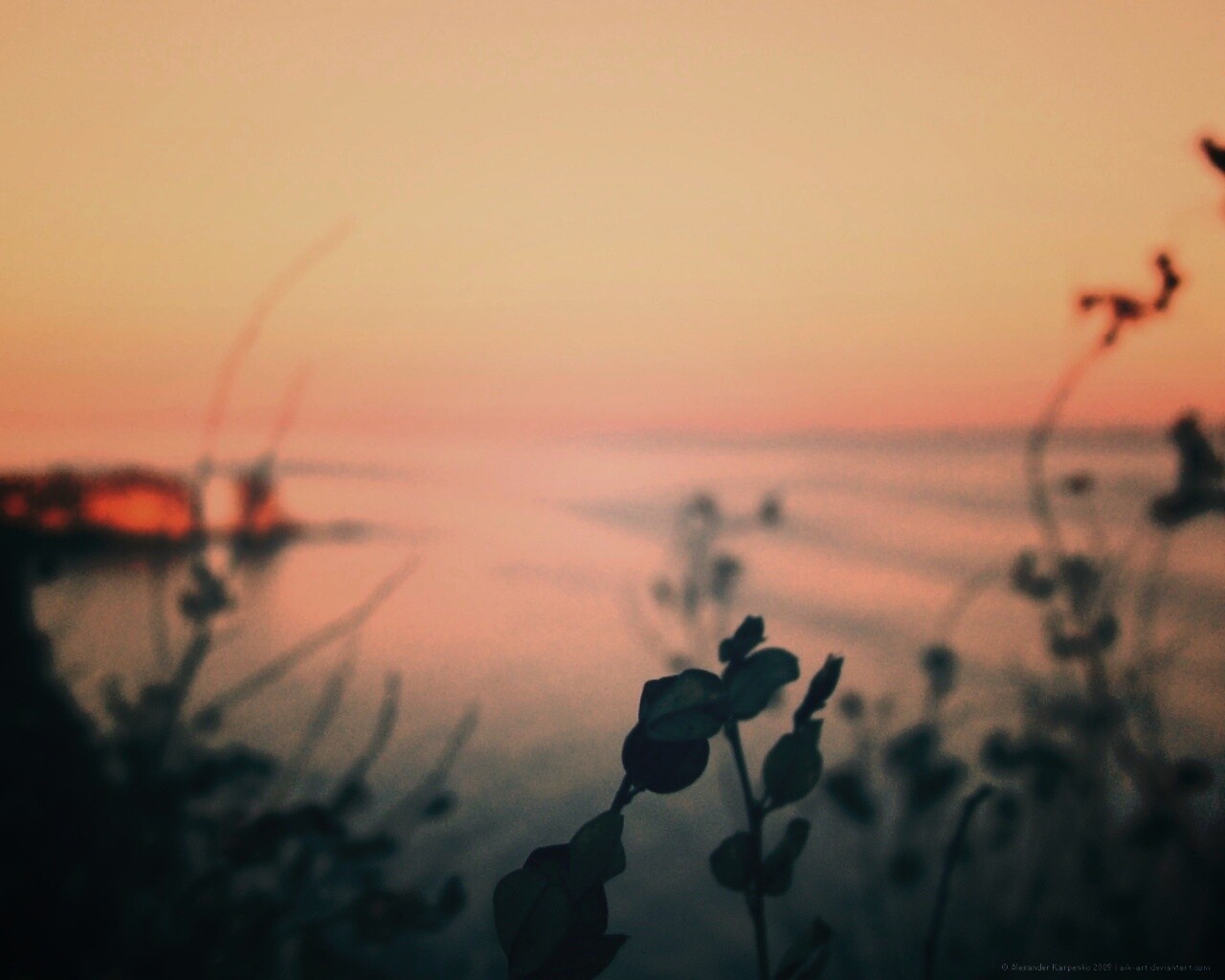 Расплывчатый берег обои