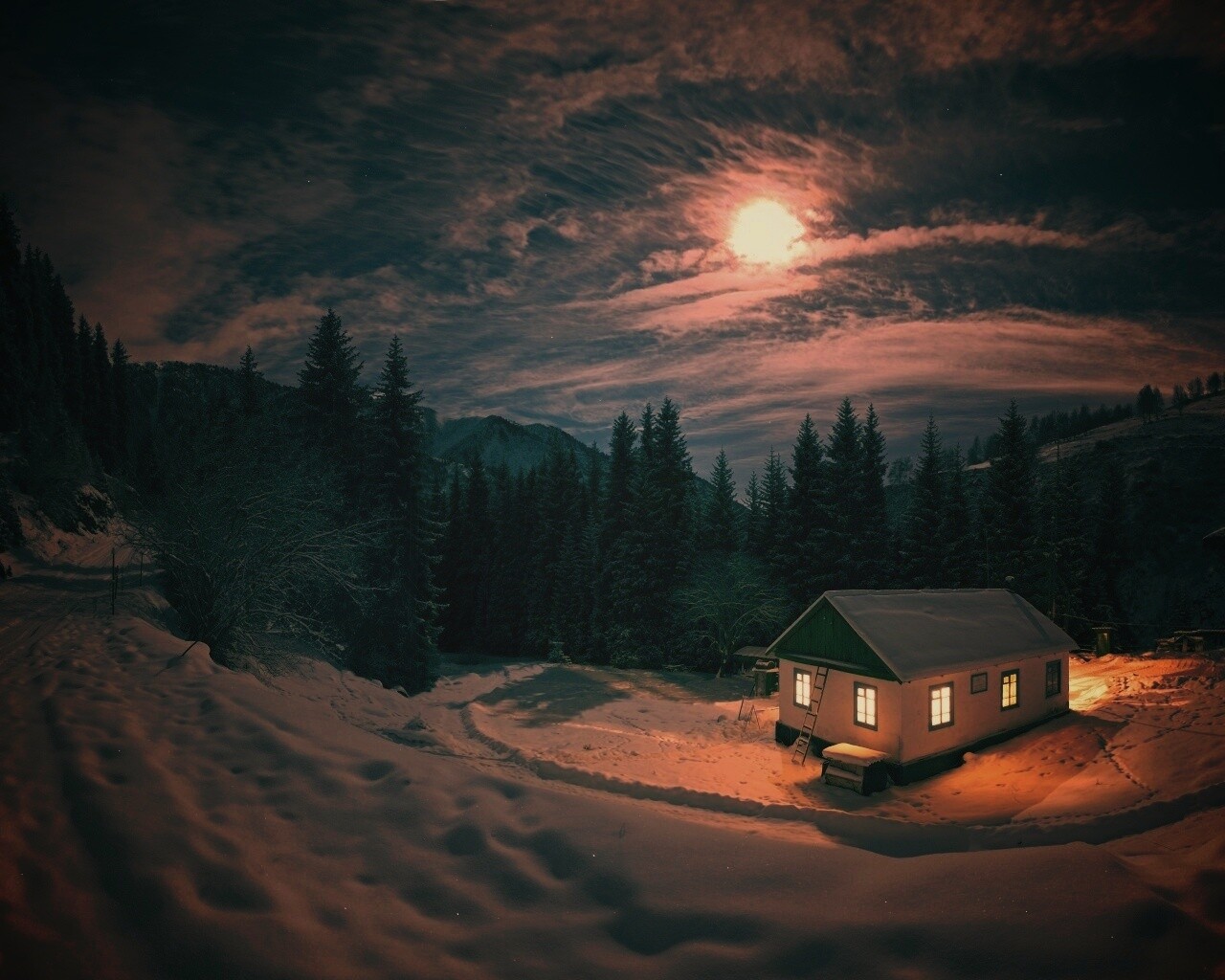 Один в зимнем лесу обои