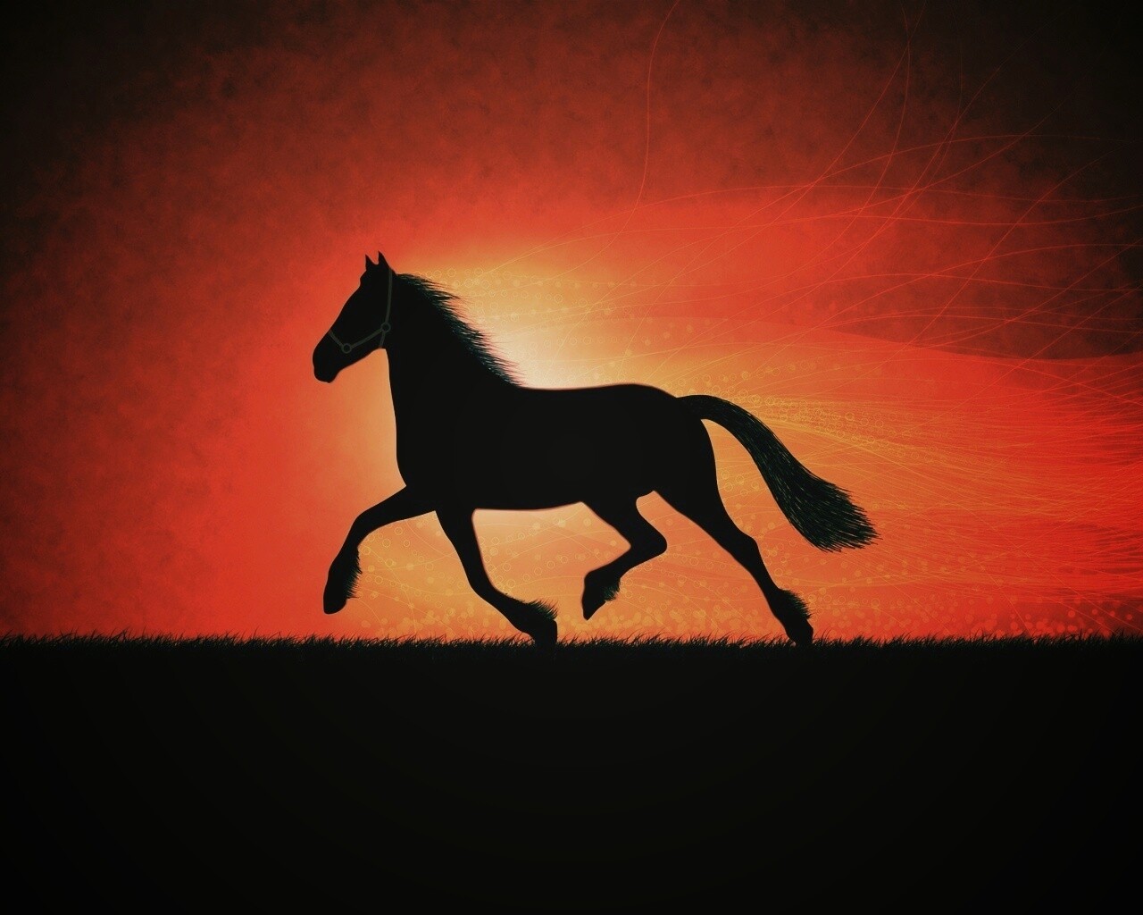 Силует коня на закате обои