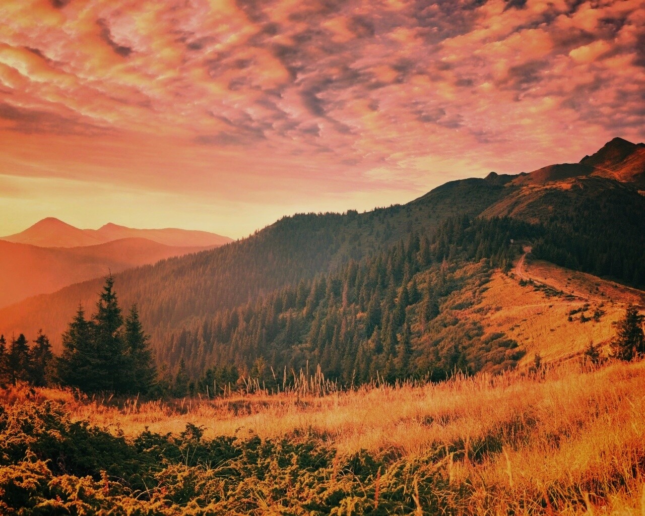 Предгорье обои