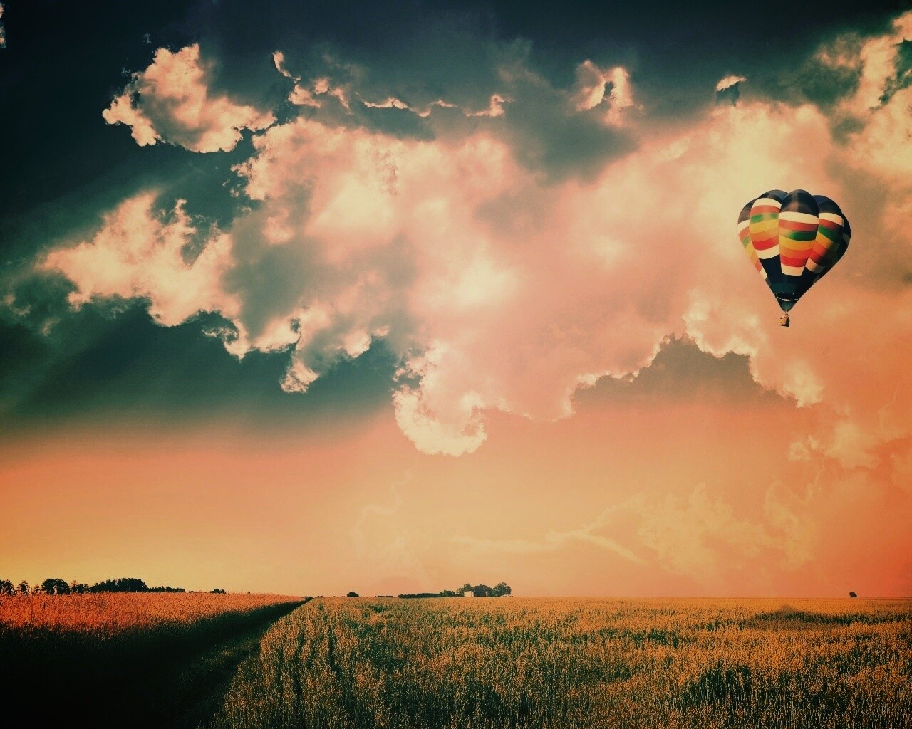 Воздушный шар над зеленым лугом обои