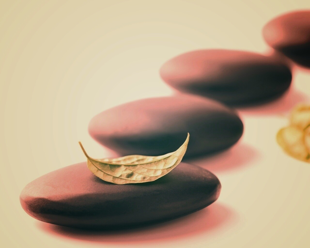 Плоские камешки обои