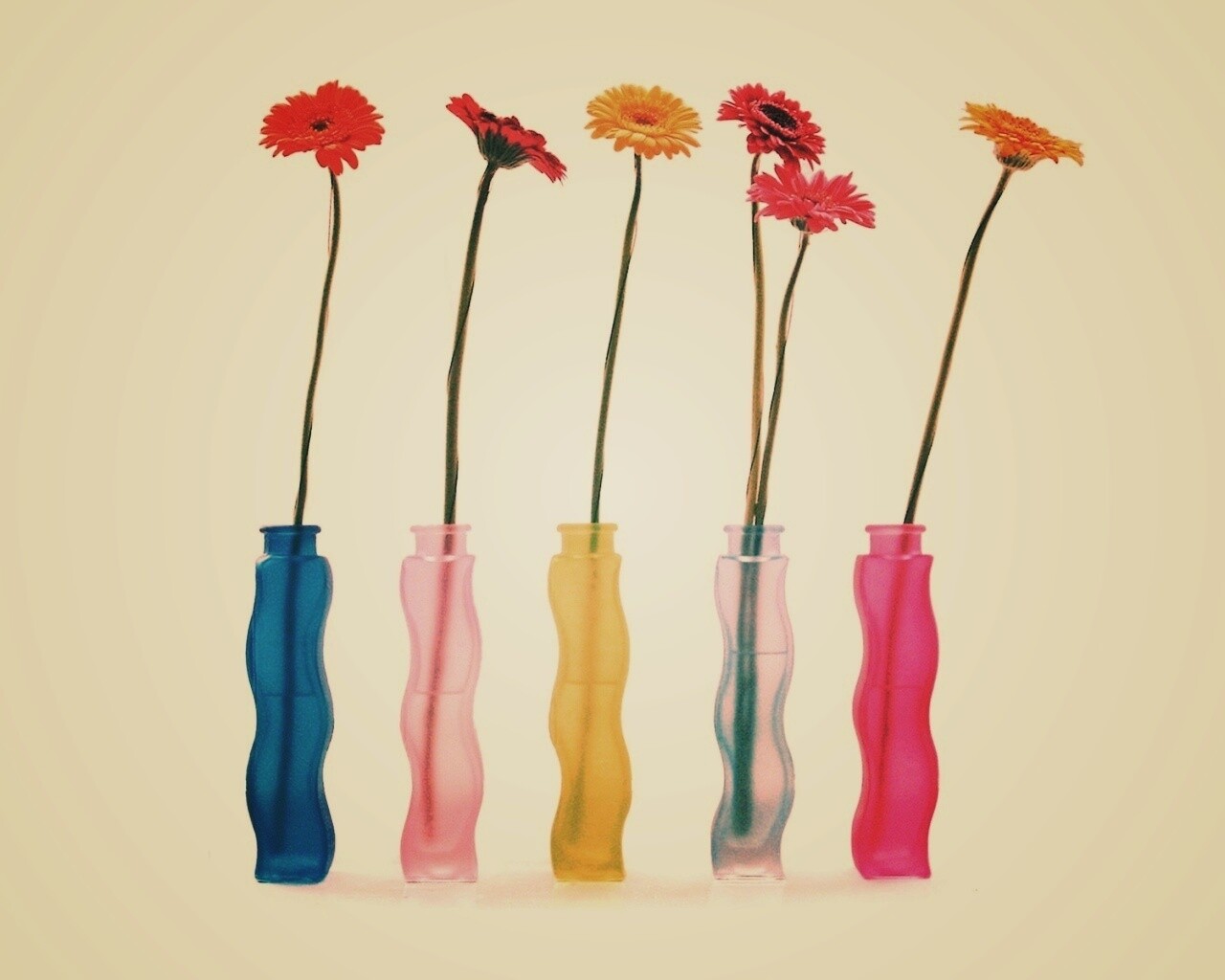 Герберы в изогнутых вазах обои