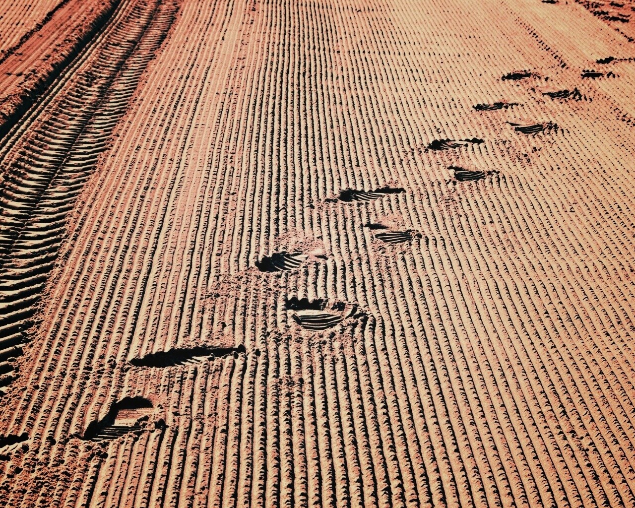 Следы на песке обои