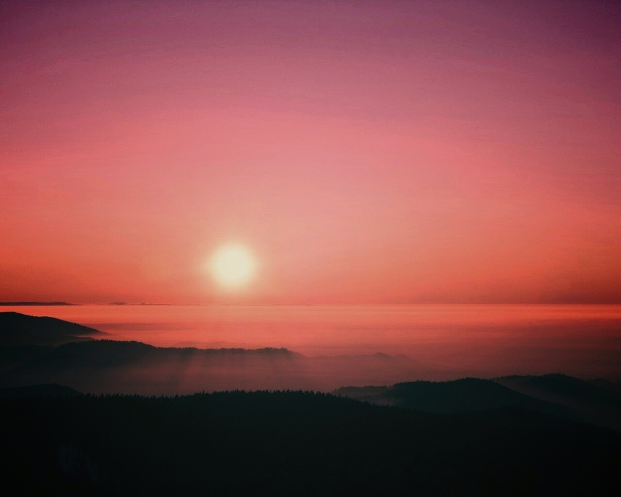 Восход солнца над лесом обои