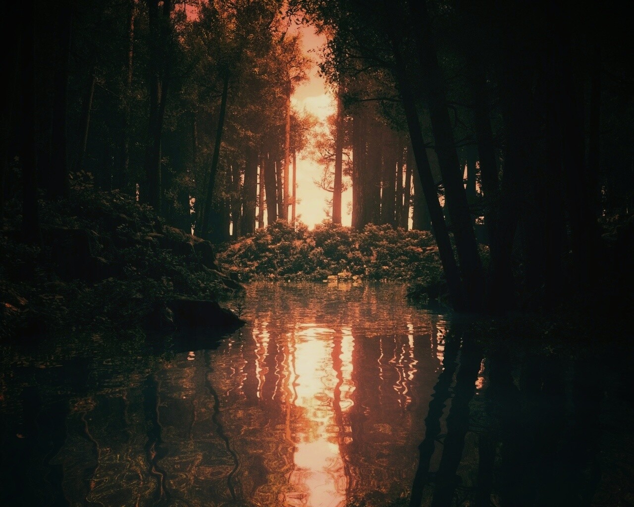 Болото в лесу обои