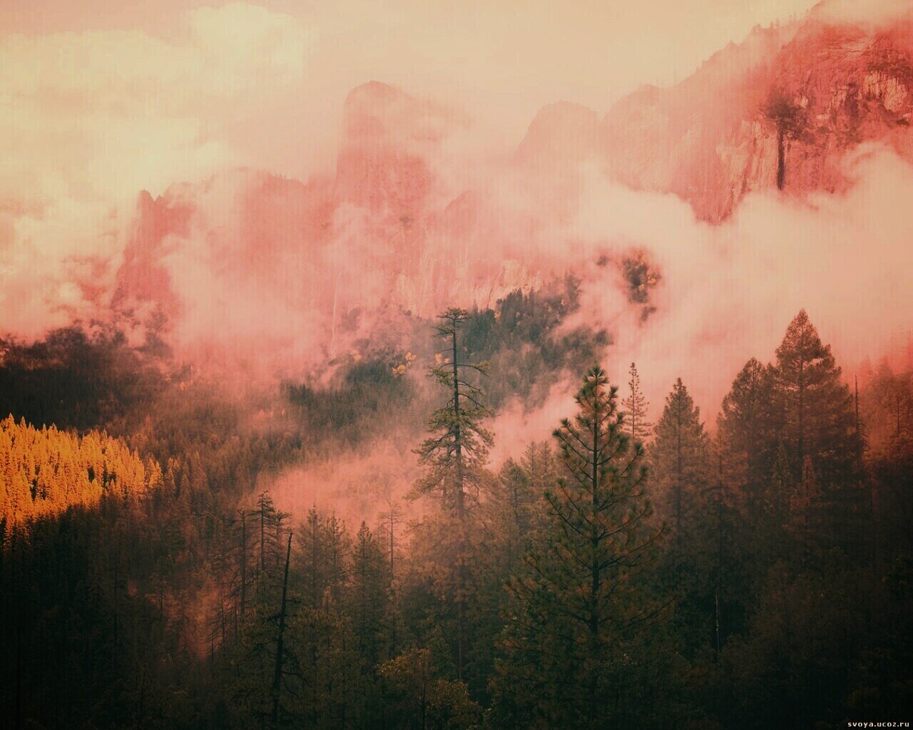 Туман в горах обои