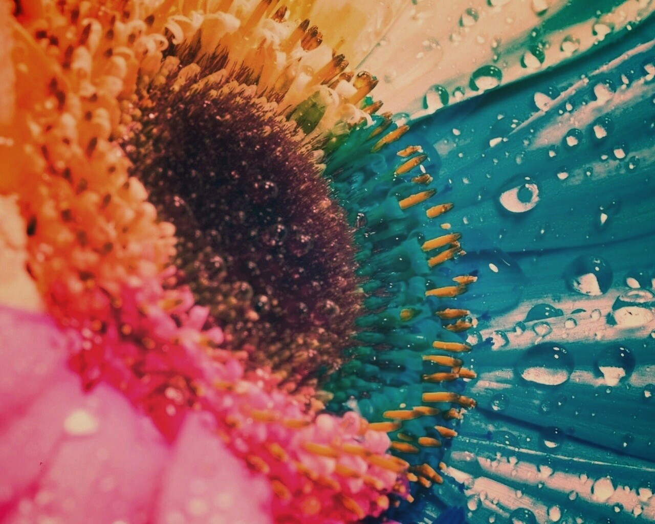 Цветик семицветик обои