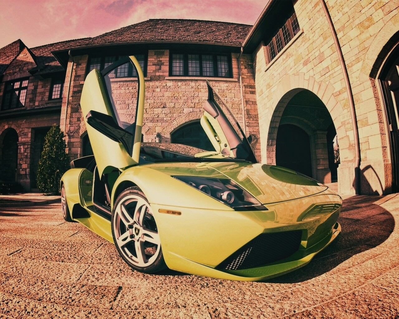 Зеленая ламба обои