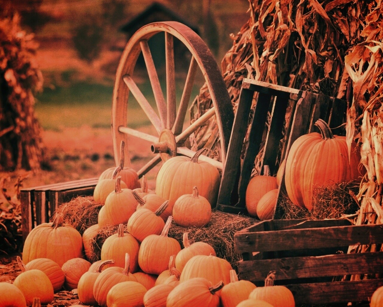 Урожай обои