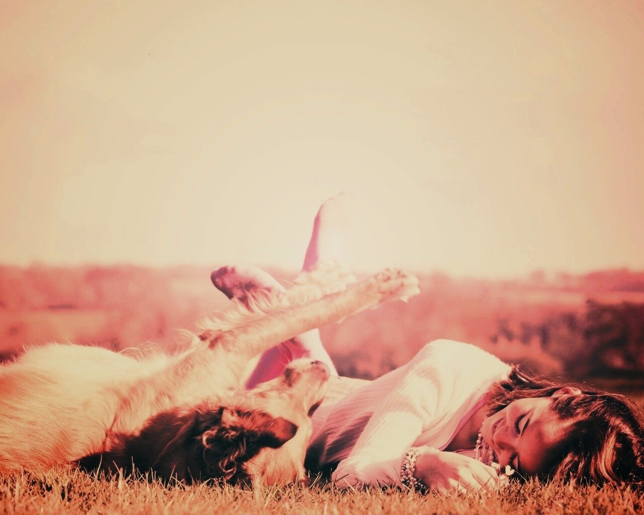 Девушка и собака валяются на траве обои