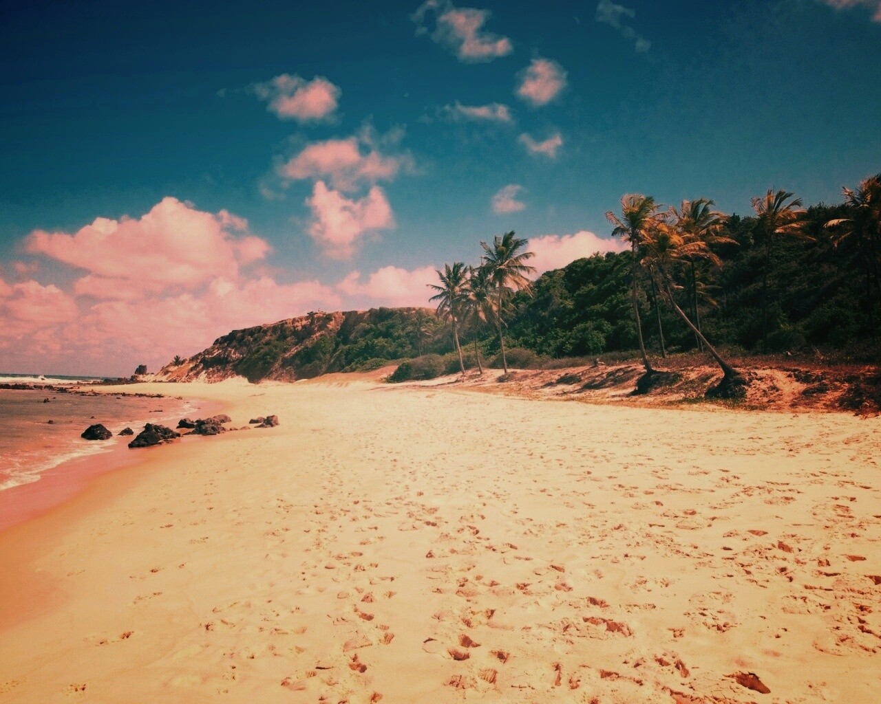 Туры в Бразилию в Лондрину обои