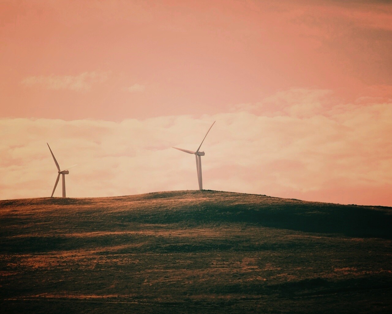 Ветряки в поле обои