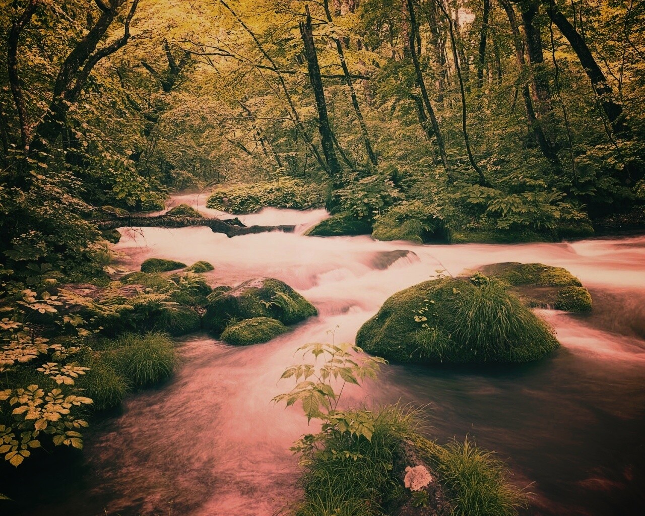 Лесная река обои