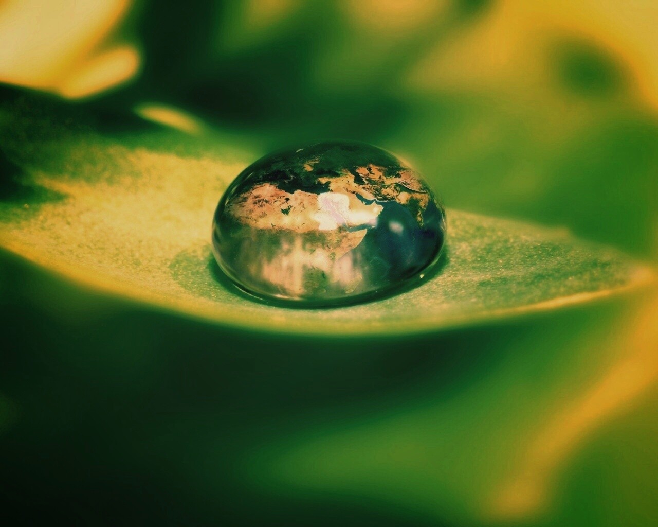 Целый мир в капле воды обои