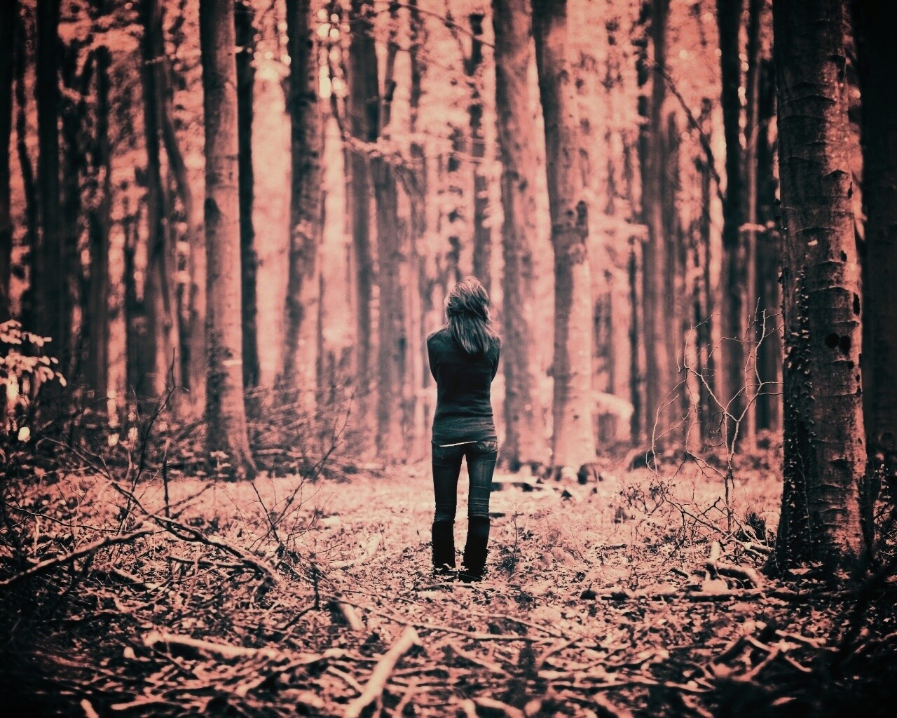 Одна в лесу обои