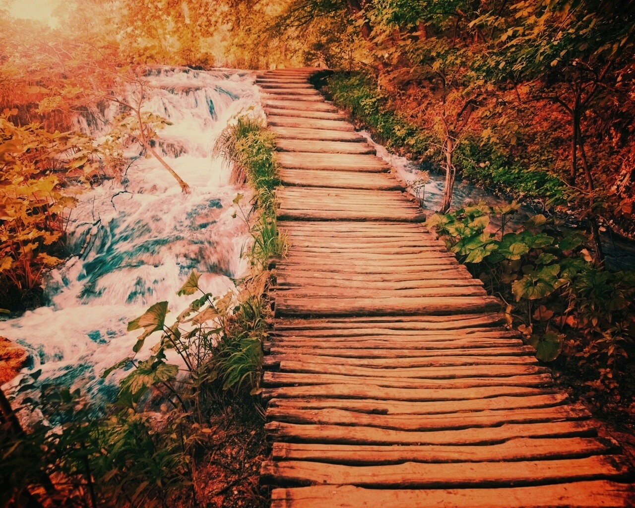 Деревянная дорожка над ручьем обои