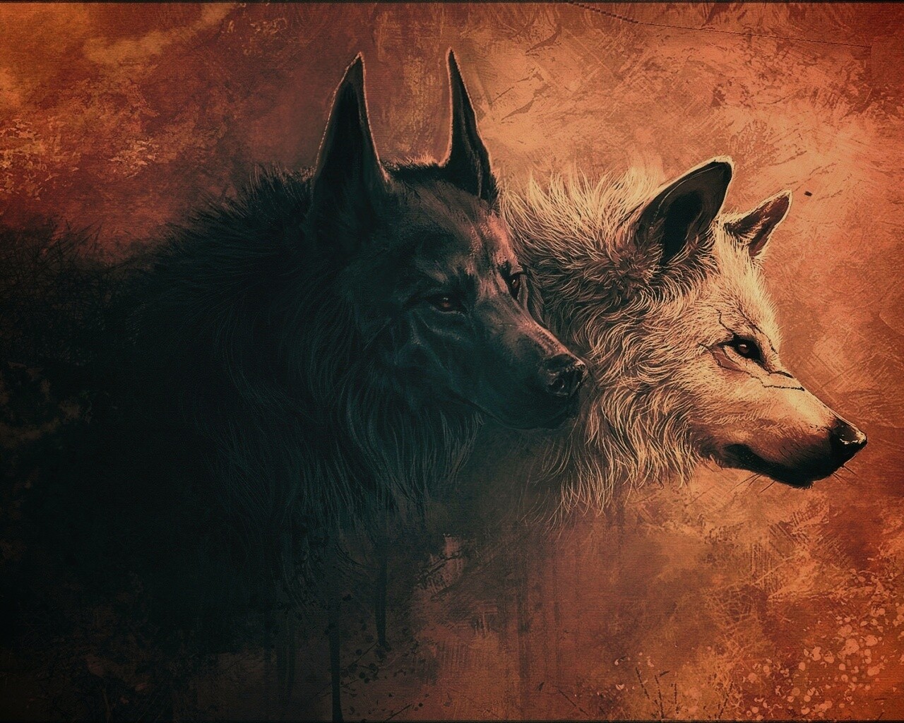 Волки обои
