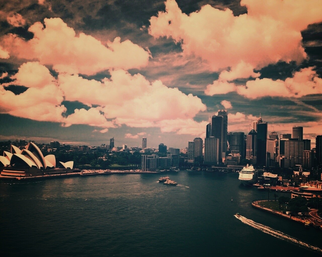 Сидней обои