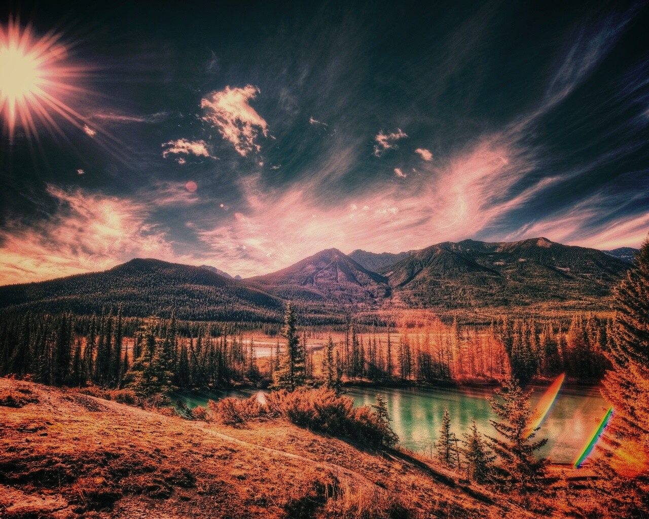 Болотистая местность обои