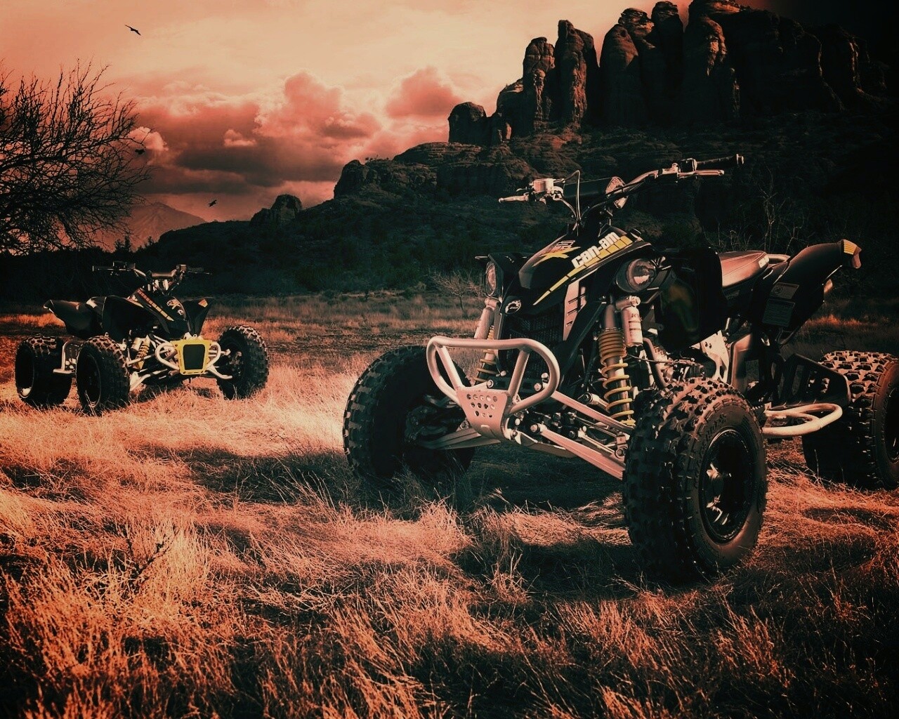 Квадроциклы обои
