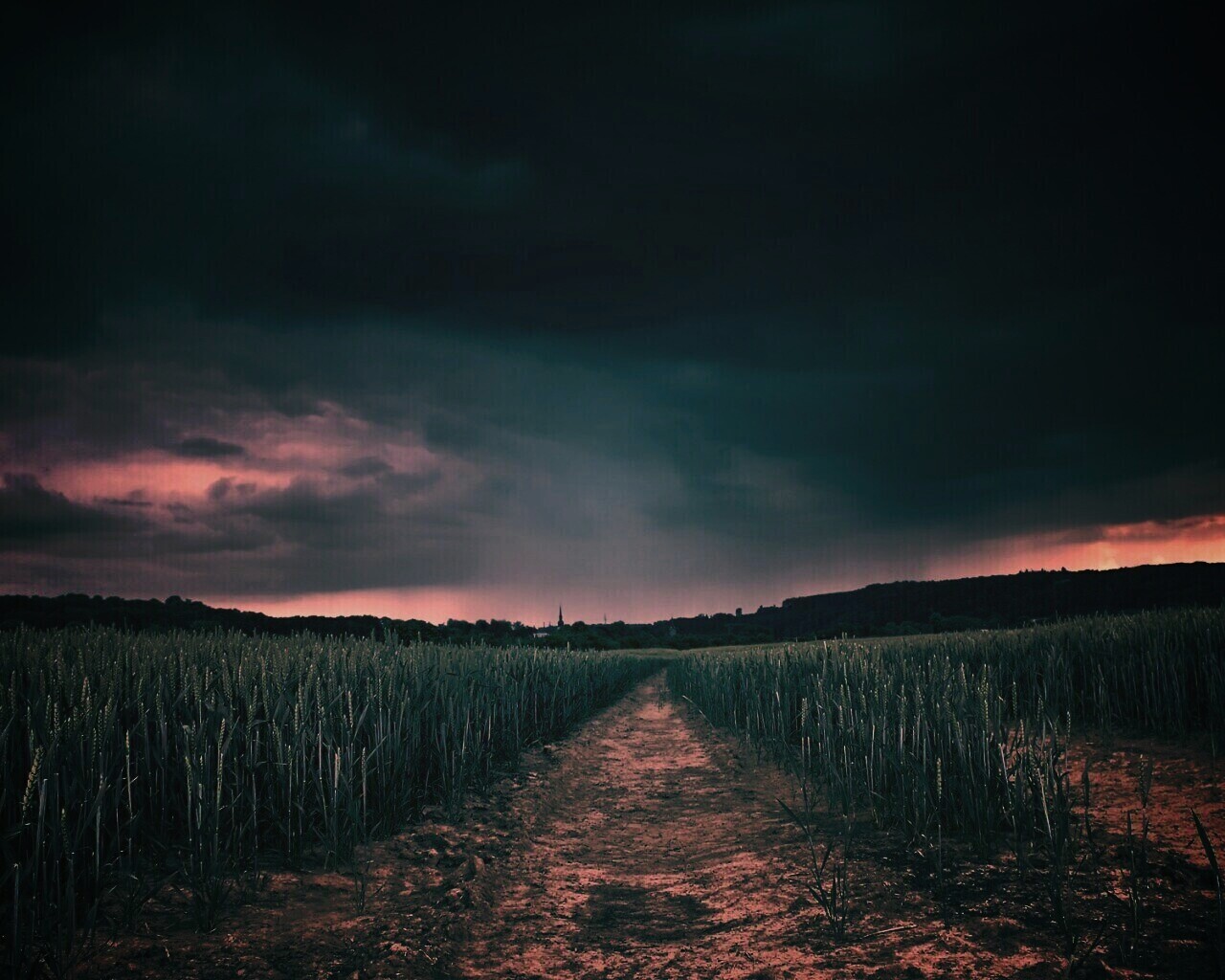 Поле ночью обои