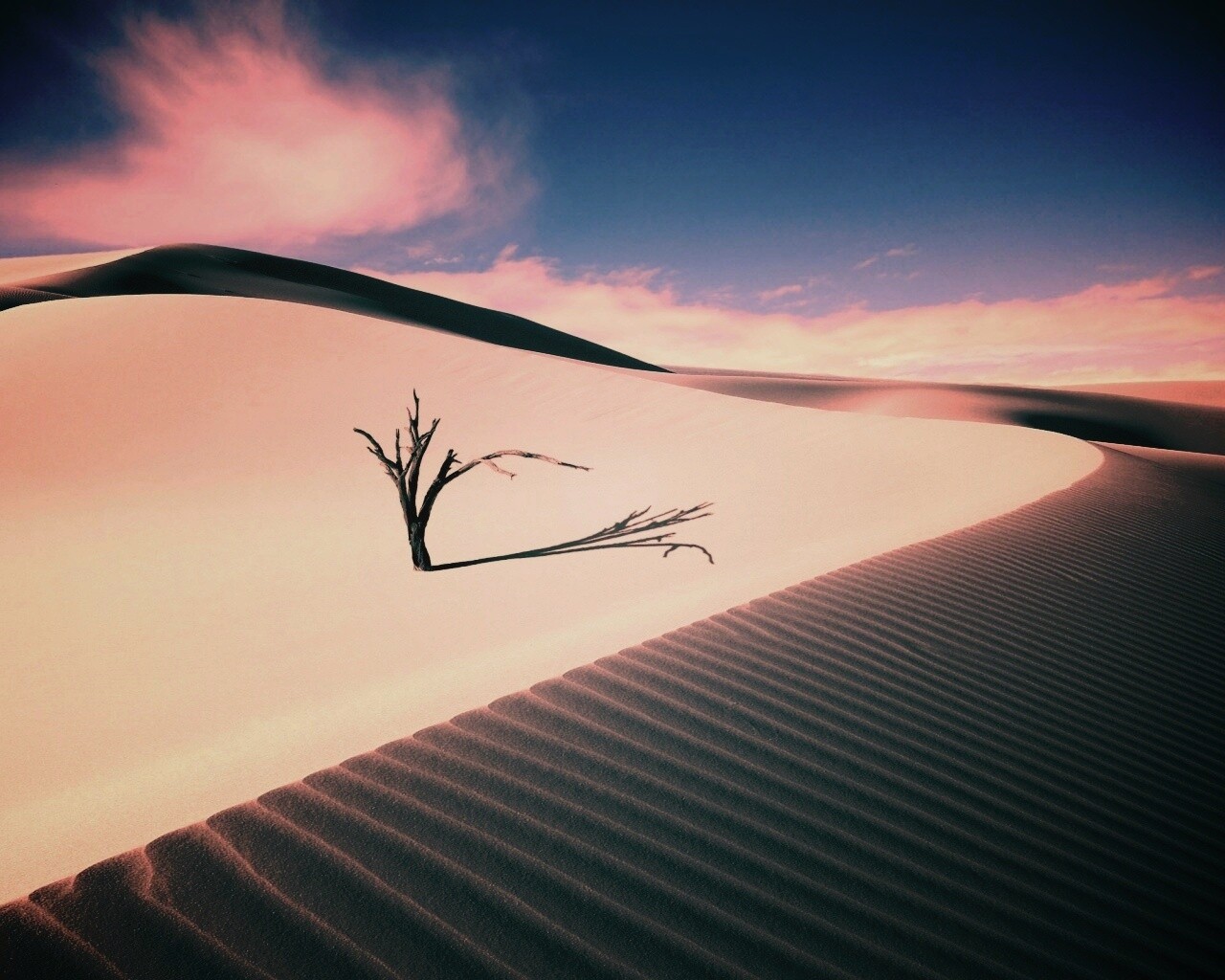 Дюны белого песка обои