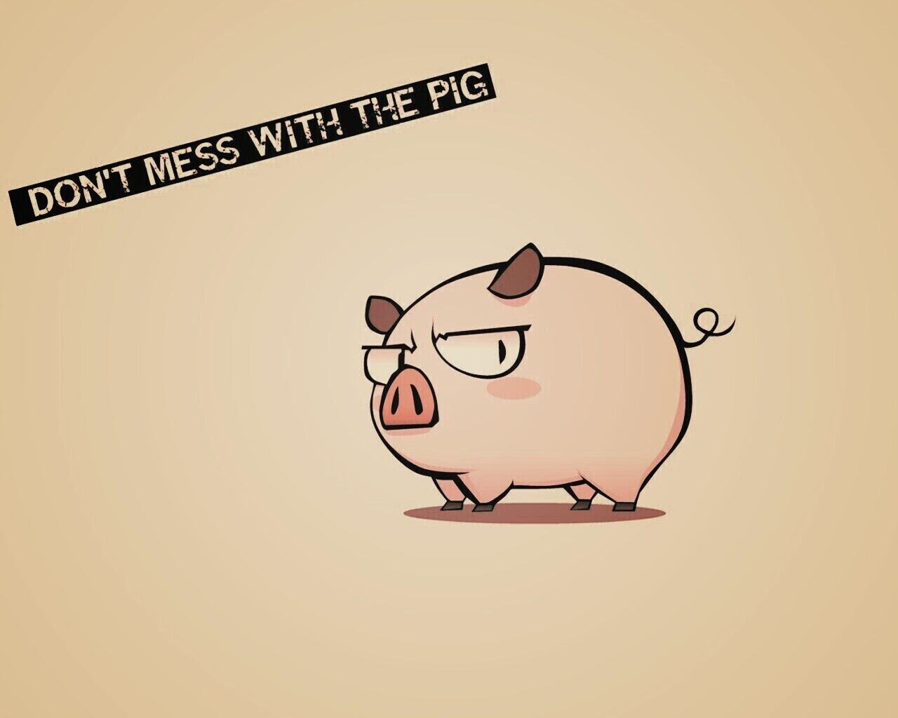 Не путайся со свиньей обои