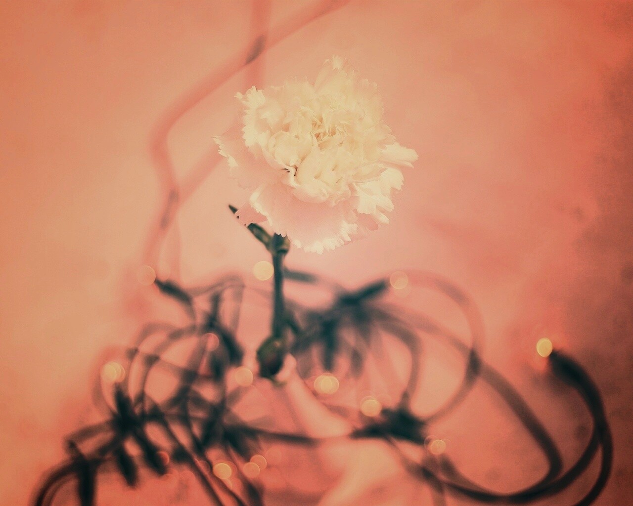 Электронный цветок обои