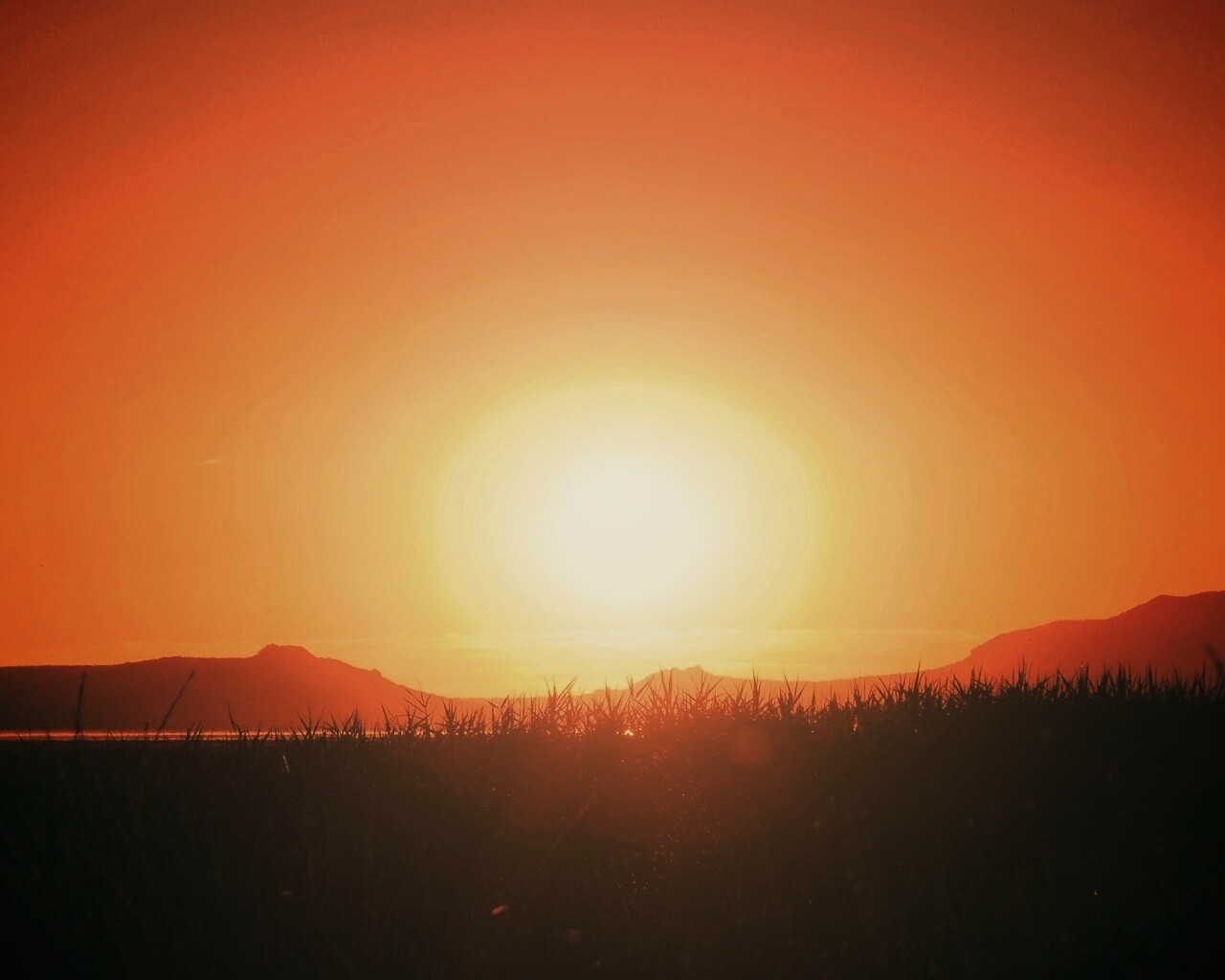 Сельский закат обои