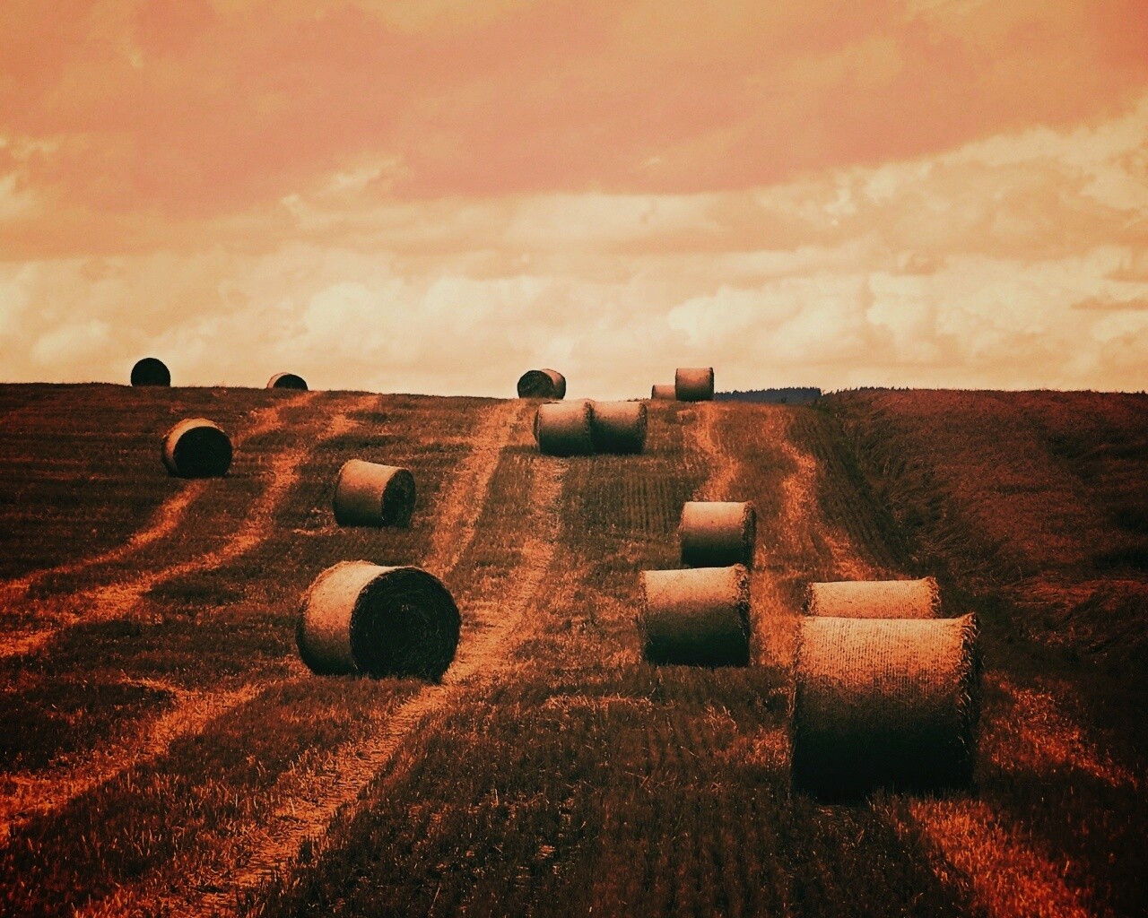 Уборка сена с поля обои