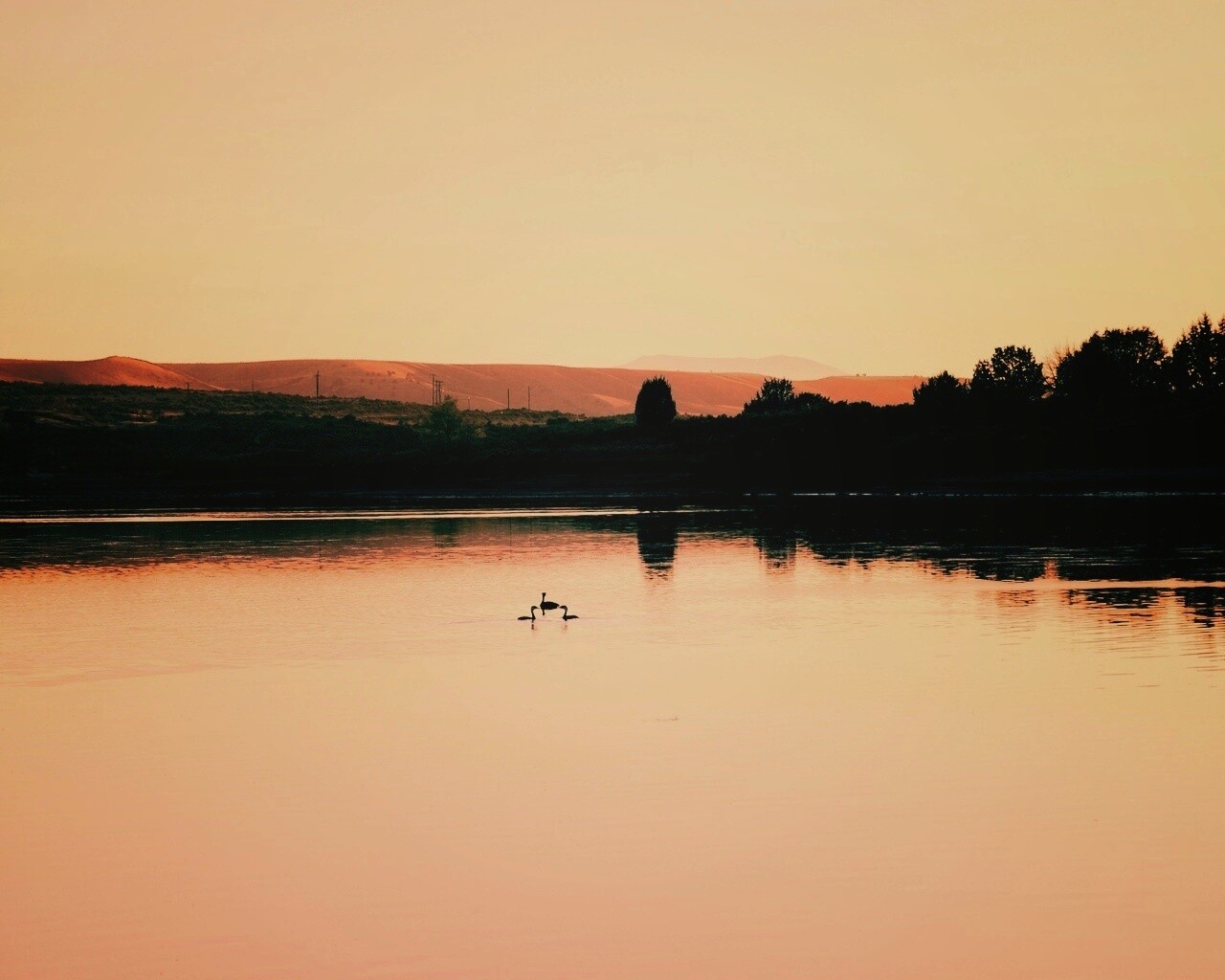 Утиное озеро обои