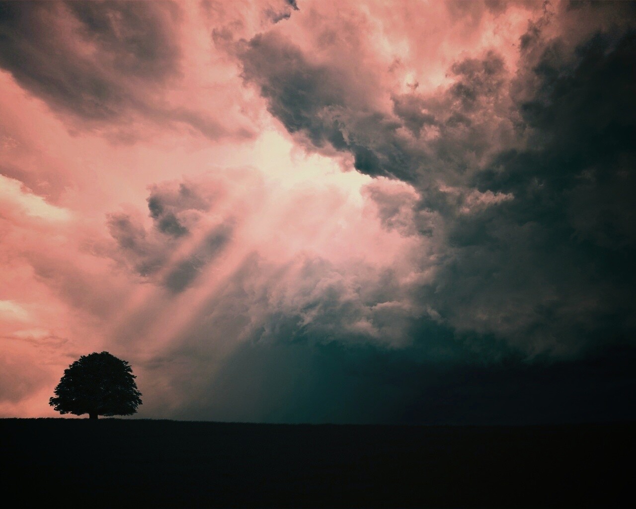 Избранный обои