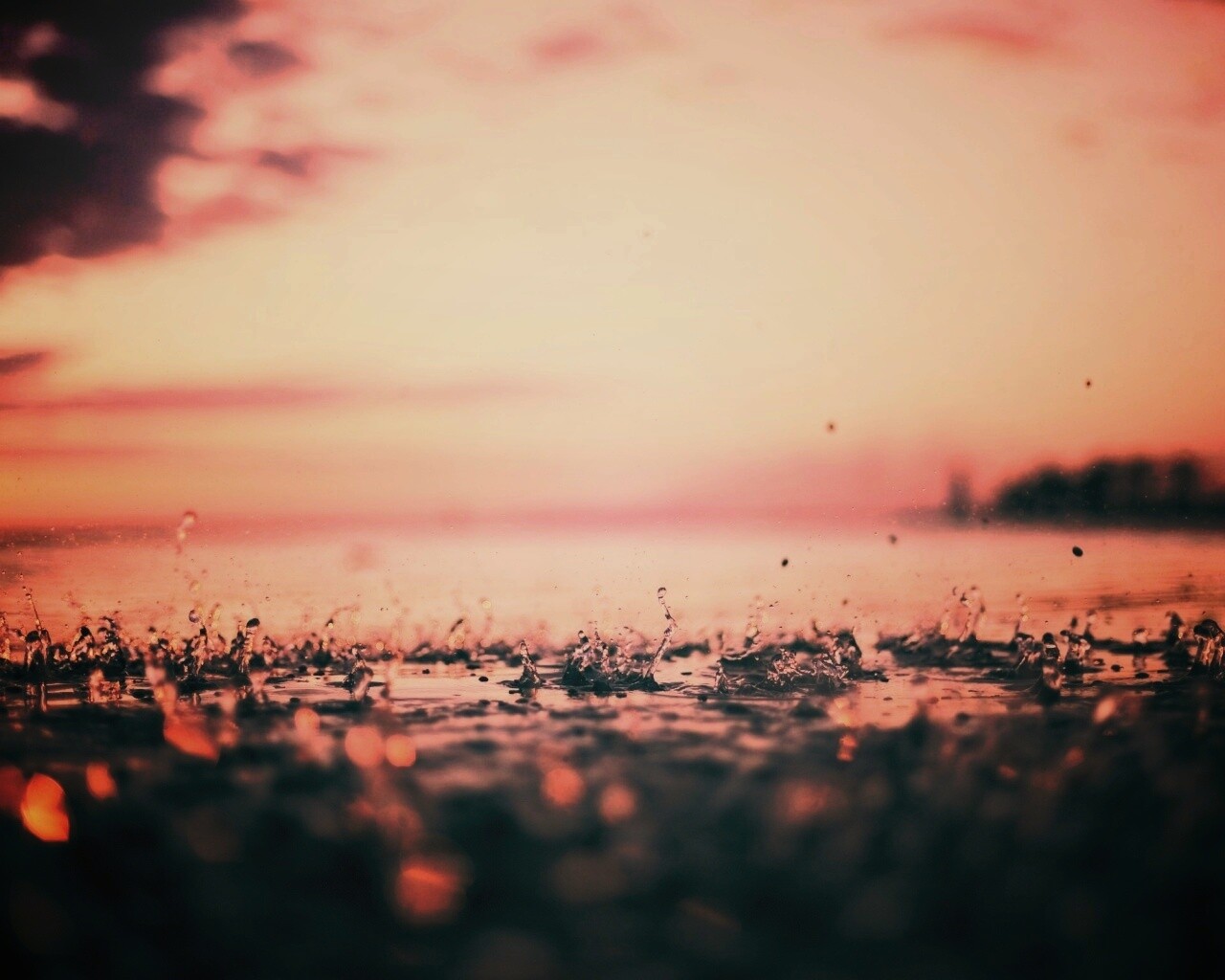 Дождь в макро обои